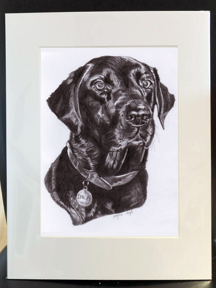 A3 Dog Portrait Drawing