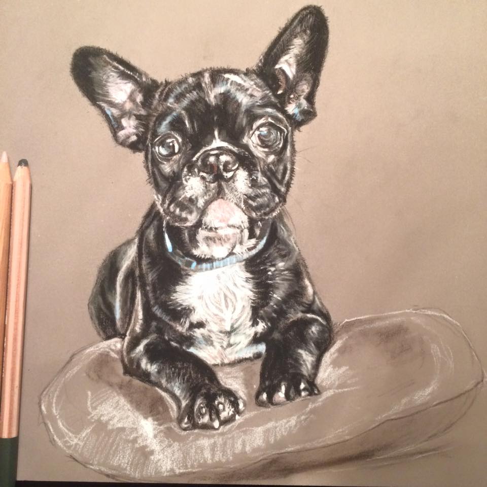 A4 Pastel Dog Portrait