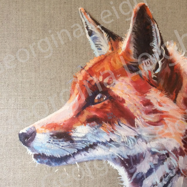 Fox Portrait Art Print
