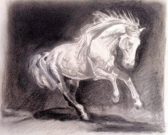 Iberian Horse Art Print