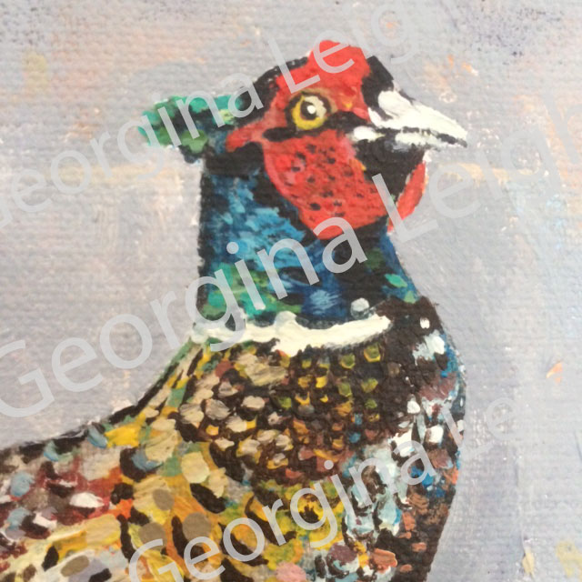 Original Oil Painting of 'Pheasant'