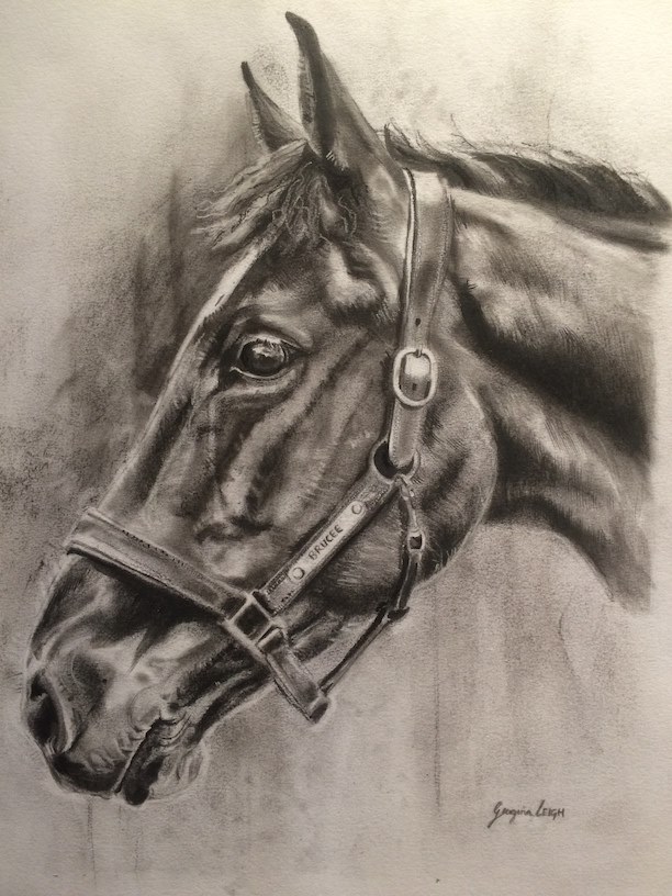 A4 Horse Portrait No Frame