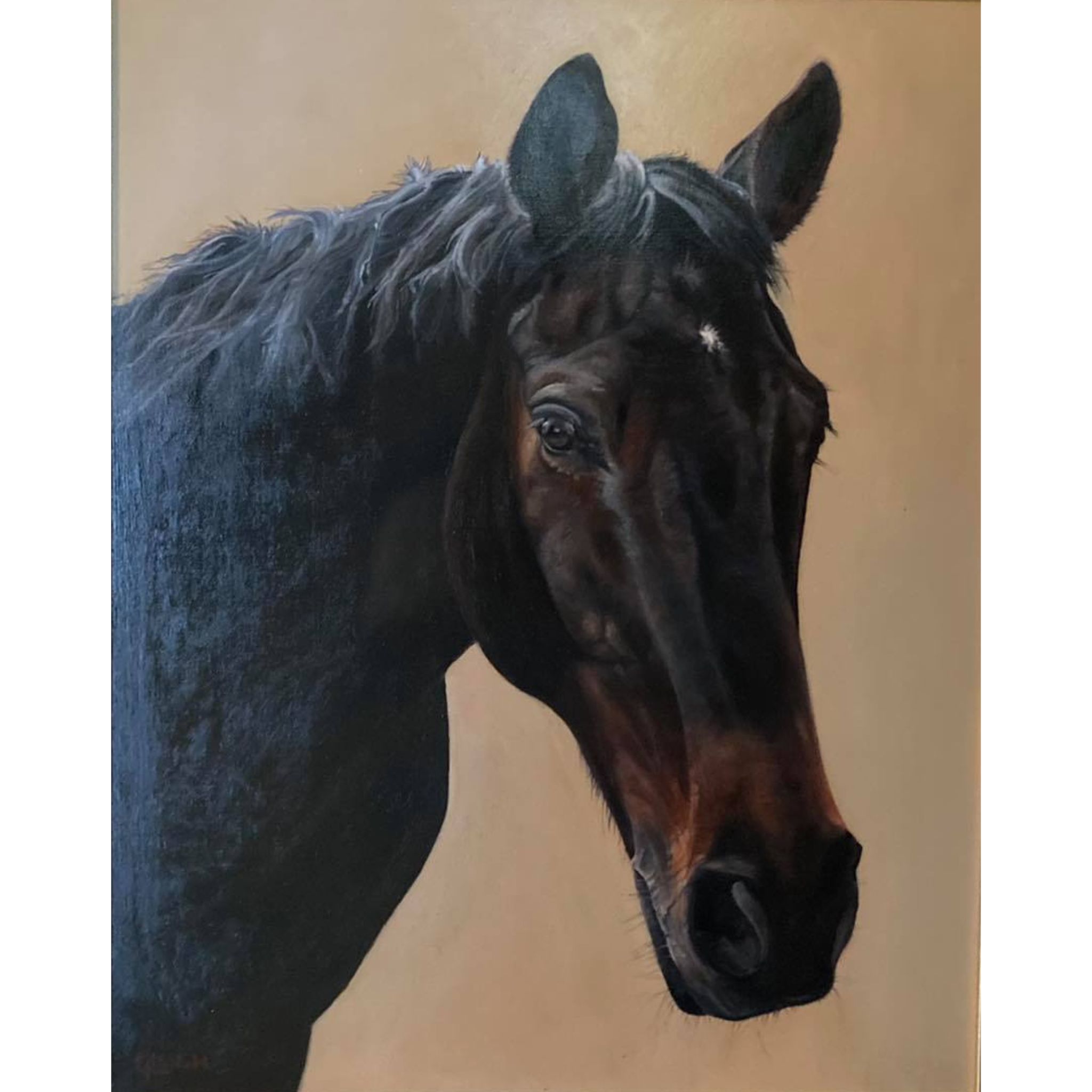 A4 Horse Portrait Painting