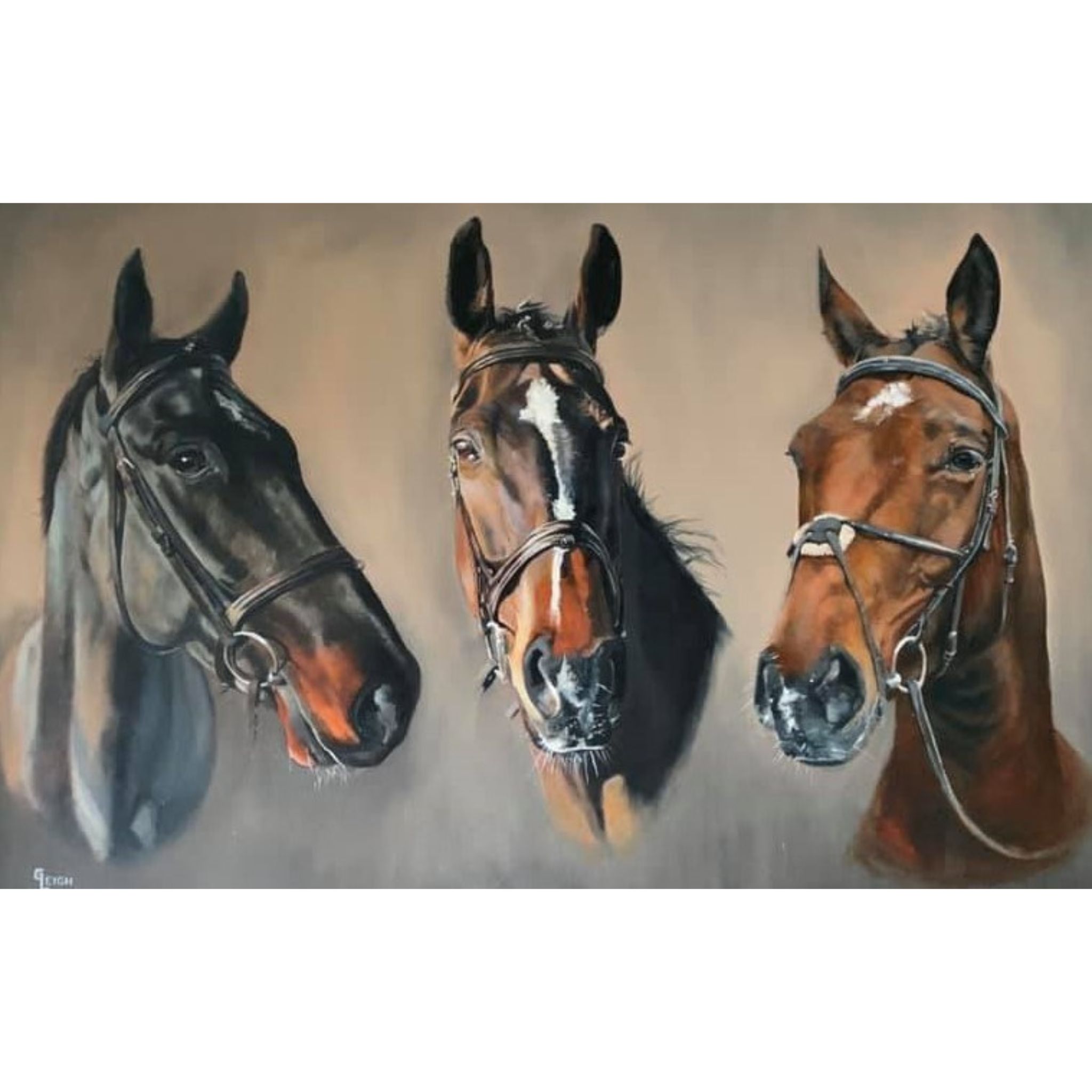 A4 Horse Portrait Painting