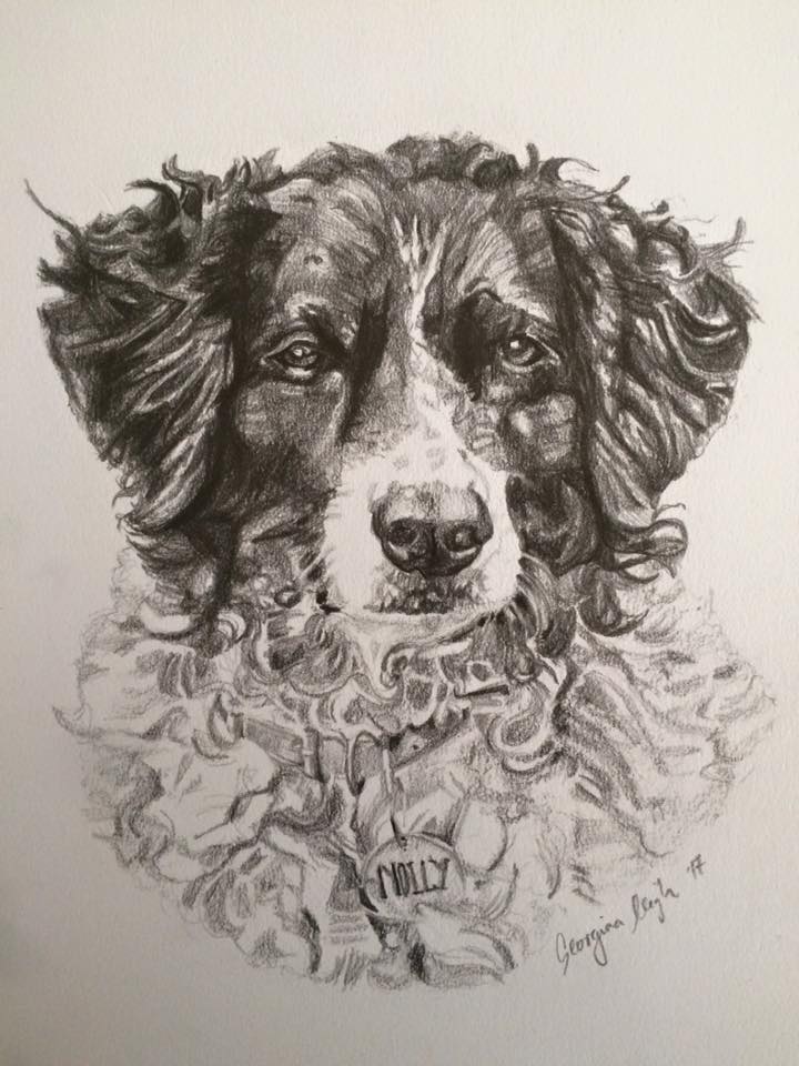 A4 Dog Portrait Drawing