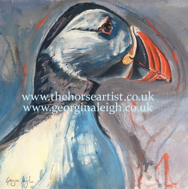 Puffin I (print)