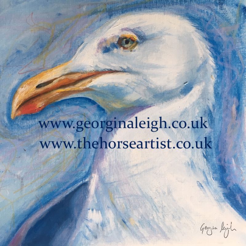 Seagull I (print)