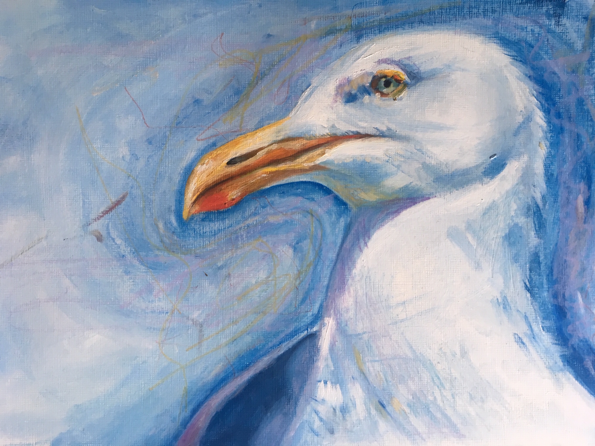 Seagull Painting